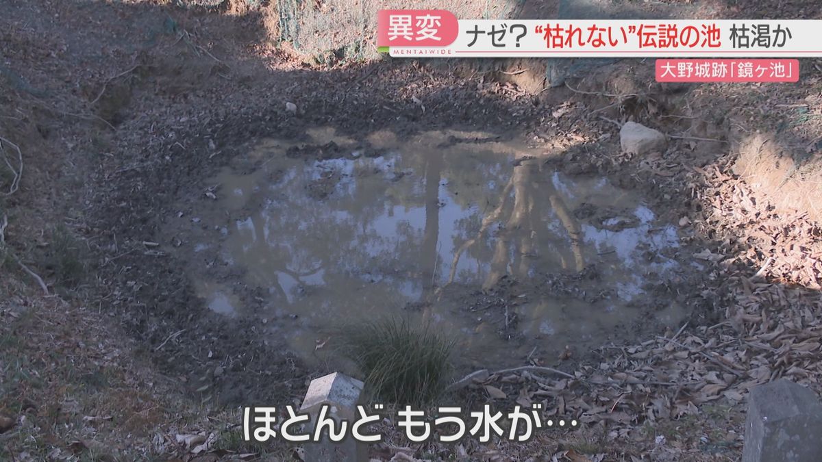 【異変】「枯れない」という伝説の池 なぜか水たまり程度に 周辺にイノシシが荒らした跡 福岡