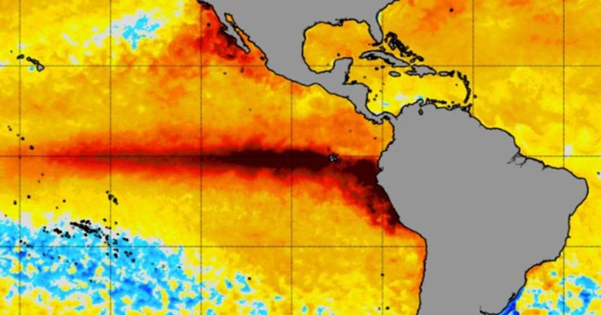 ガラパゴス諸島のサンゴ分析結果「ここ40年の温暖化とエルニーニョはマジでエグい」