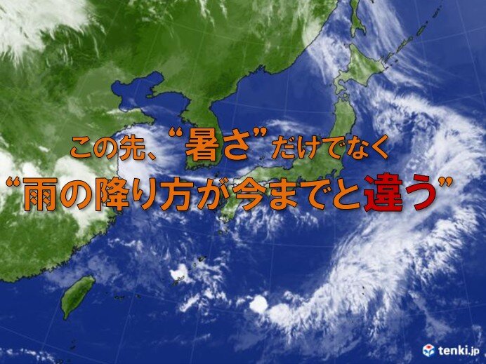 今年の夏は「雨の降り方が違う」 梅雨から台風まで変化に注意
