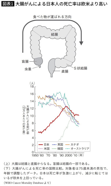 酒･タバコと同じくらい危険…10年続けると｢大腸がん｣発症率が2倍に跳ね上がる､職場で毎日やっている習慣【2026年5月BEST】（プレジデントオンライン）｜ｄメニューニュース