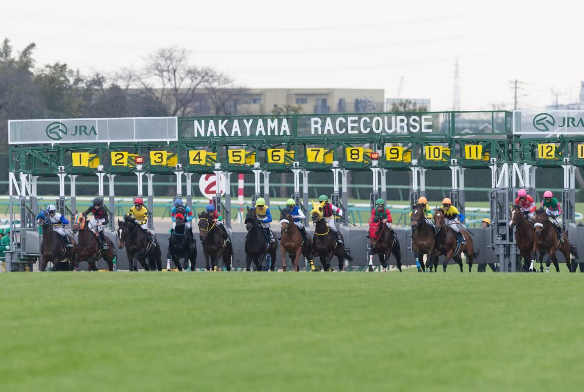 競馬AIが阪神牝馬S、ニュージーランドTを大予想 厳選ワイド3点＆3連複10点で勝負！