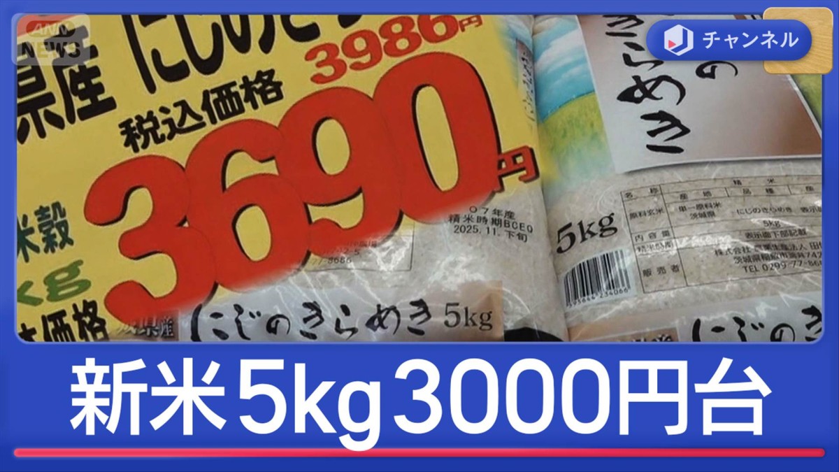 新米5kg3000円台を発見！なぜ価格急落？