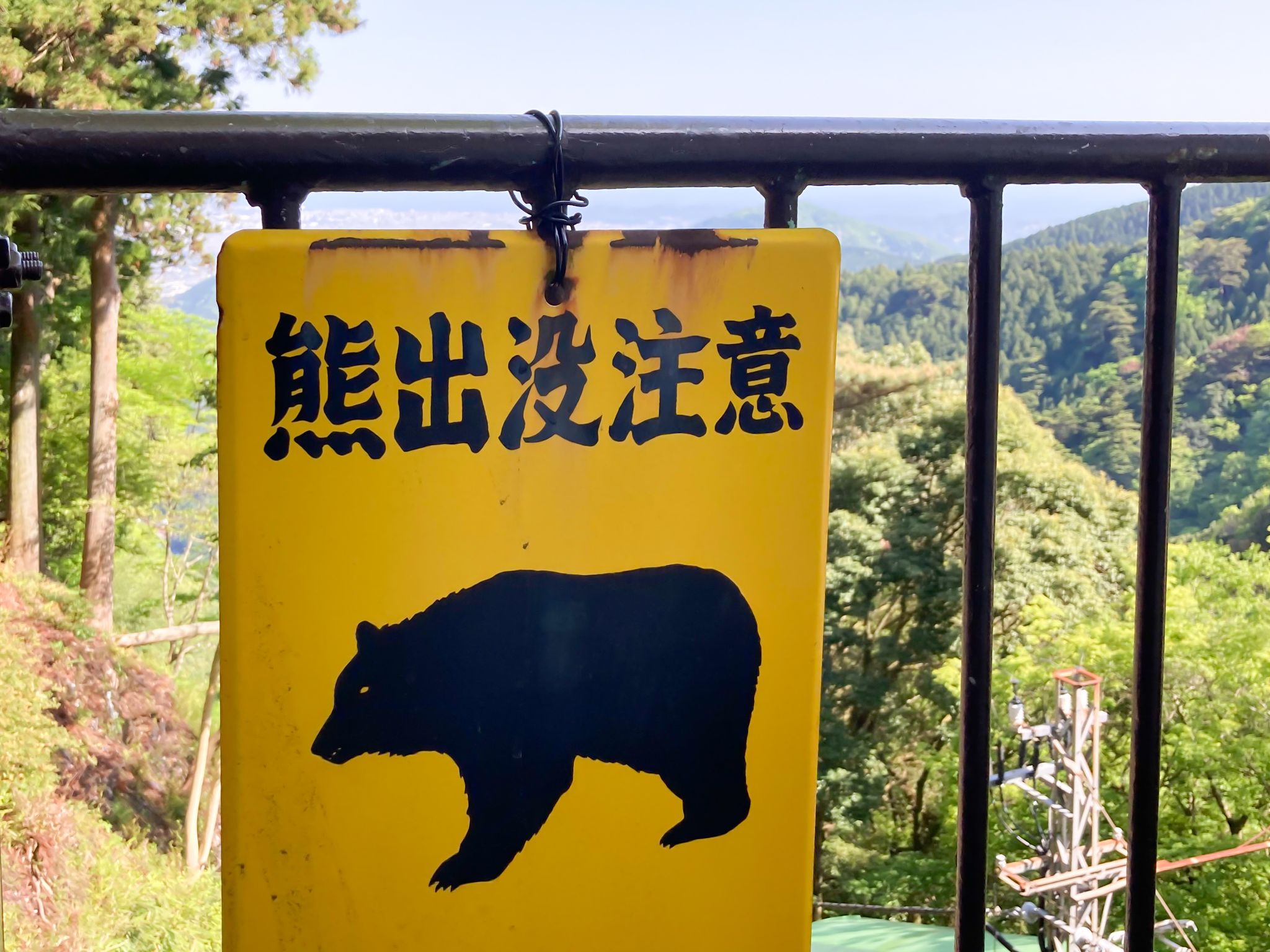 「熊が山にいるのは当り前、いちいち通報するな」の声←獣害のプロの見解は？「通報が無益な殺生を避ける」｜まいどなニュース