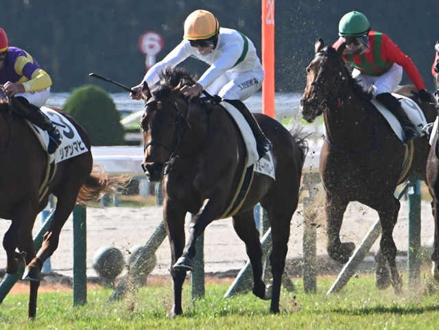 【AI予想・シンザン記念】今年も人気薄の大駆けに警戒!? 波乱を示唆する人工知能の本命候補