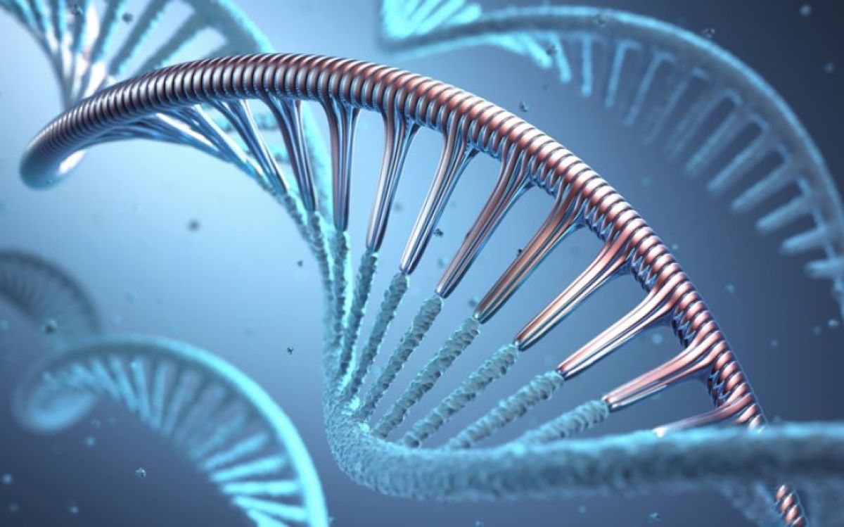 研究室で生み出された「鏡像生命体」が、制御不能な危機を招くと科学者らが警鐘