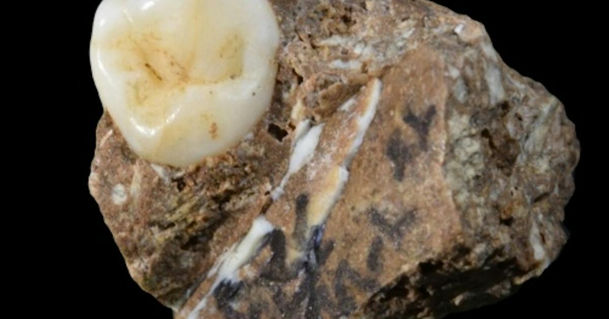 謎多きデニソワ人の化石と大量の石器発見、ついに暮らしが見えた