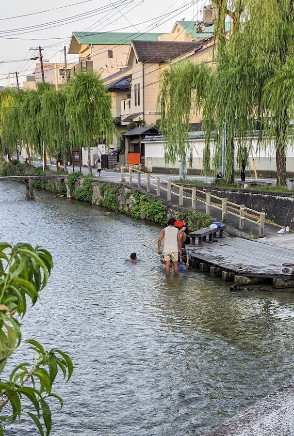 オーバーツーリズムで破壊される「風情」憂う京都人…京都市内はもはや「外国人観光客の遊園地」電車内で懸垂、白川で行水｜まいどなニュース