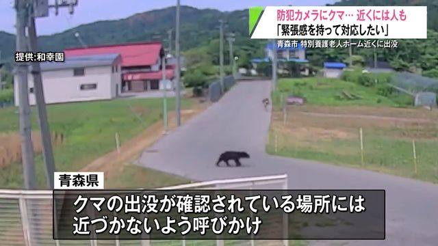 「衝撃的でした」特別養護老人ホームの近くに現れたクマの姿を防犯カメラが捉える 県内の出没件数は過去最多 青森県青森市