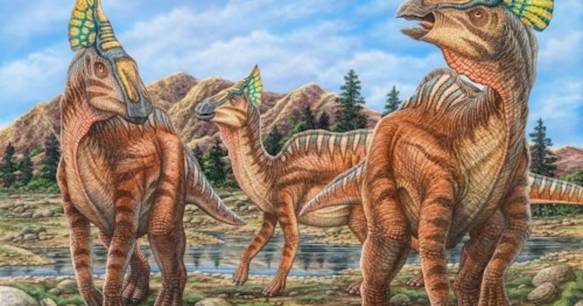 恐竜の交尾、骨を折るほど激しかった？ 尾の付け根周囲に骨折の痕
