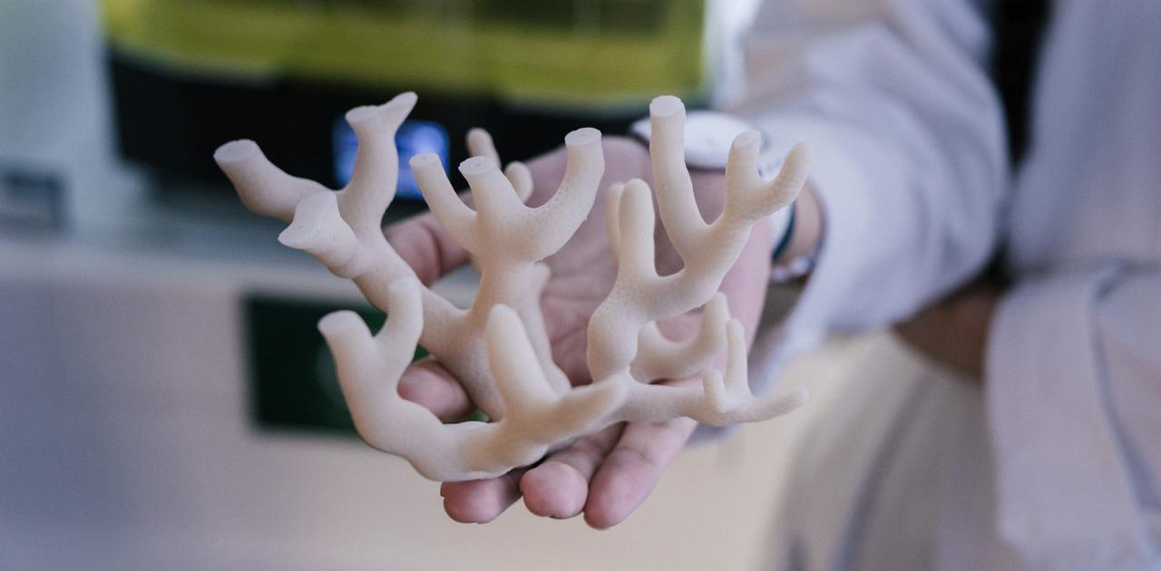 サウジアラビア｢サンゴの減少、3Dプリンターで解決できる！｣