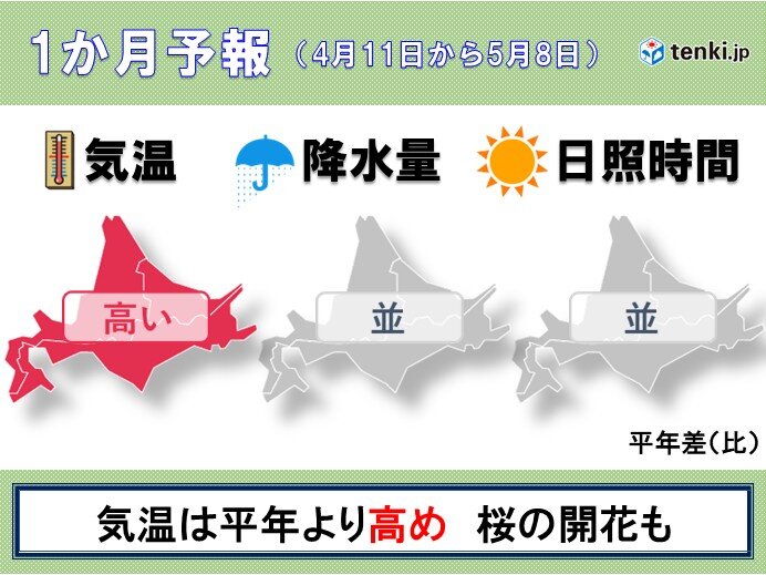 来週(13日～)の北海道は晴れて5月並みの暖かさも 桜前線の上陸は平年より早く