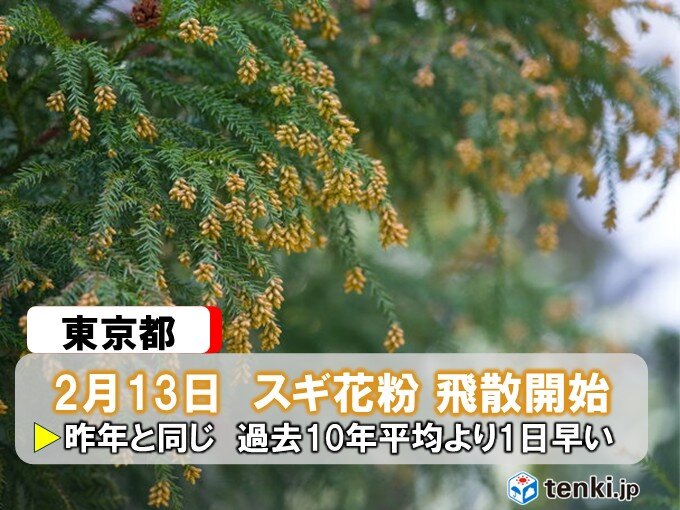 【速報】東京都内でスギ花粉の飛散開始 昨年と同じで過去10年平均より1日早い