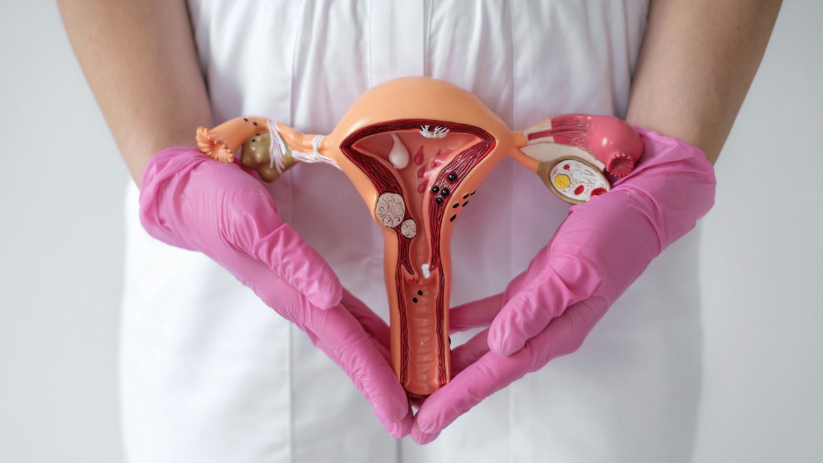 卵巣は女性の閉経後も「第二の役割」を果たす可能性がある