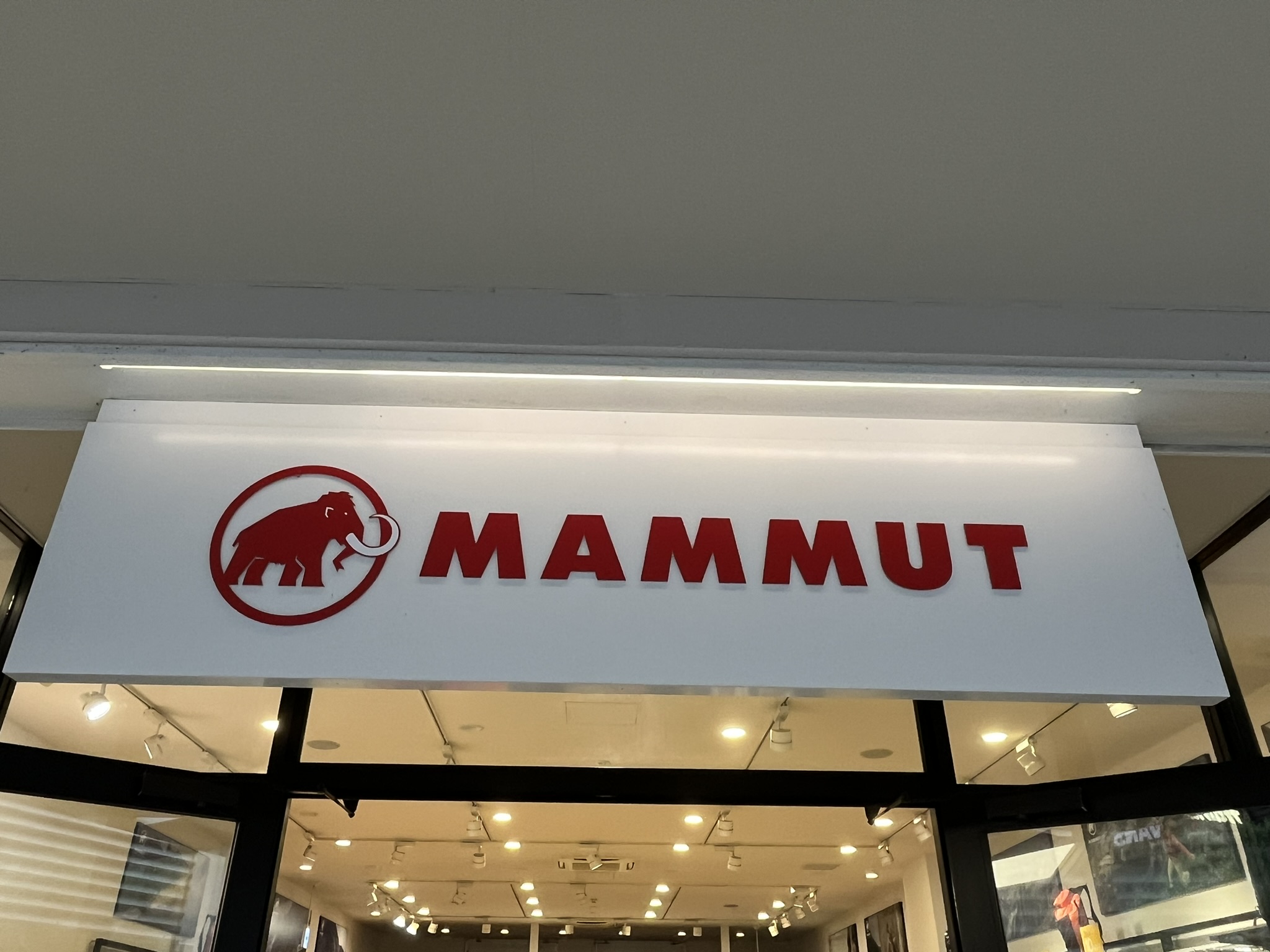 「これがベストな選択」MAMMUT（マムート）の“バックパック”に絶賛の声 「オンでもオフでも使える」「たくさん入るし疲れない」