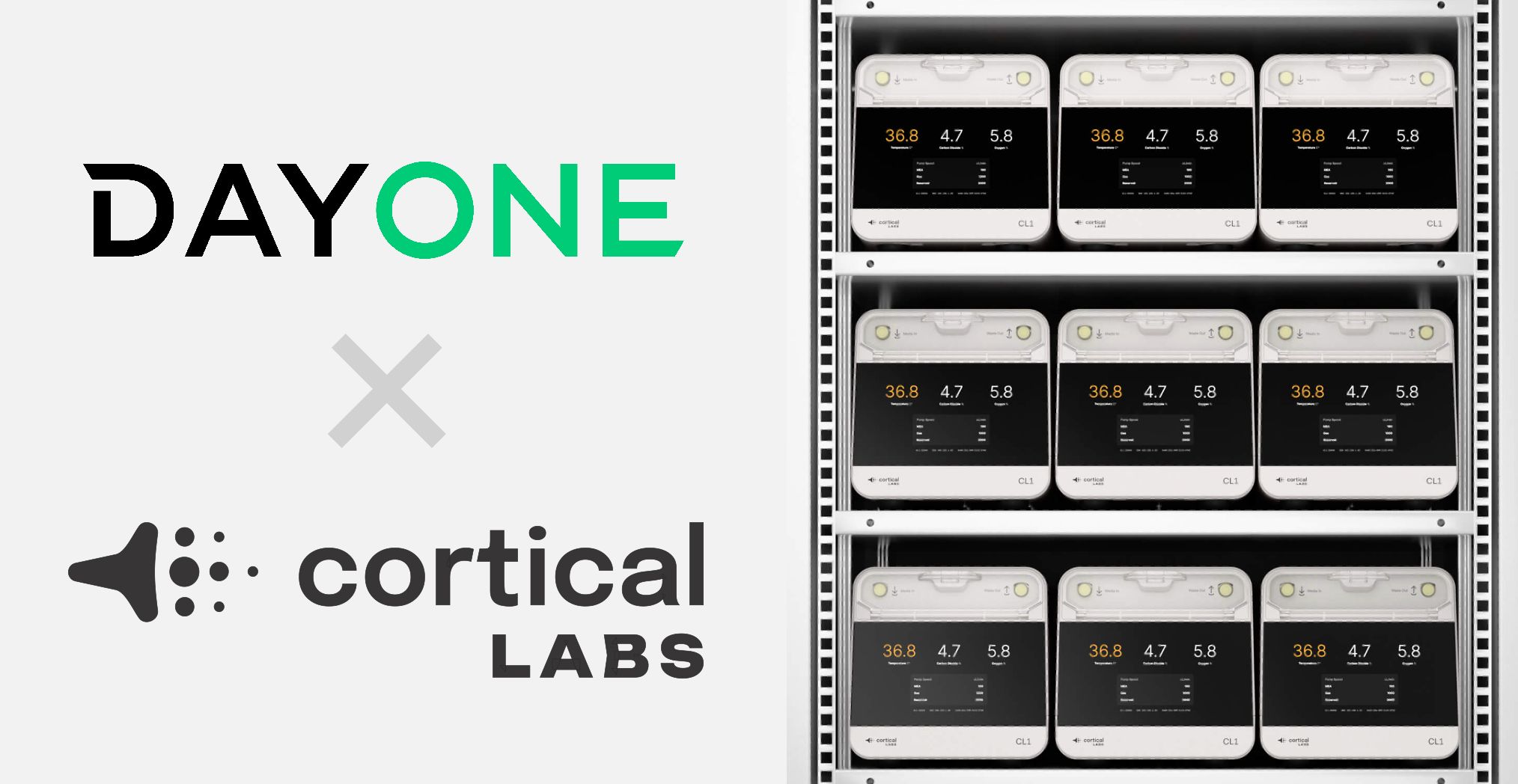 DayOneとCortical Labsが、シンガポールにおける大規模な生物学的データセンターの建設に向け提携を発表