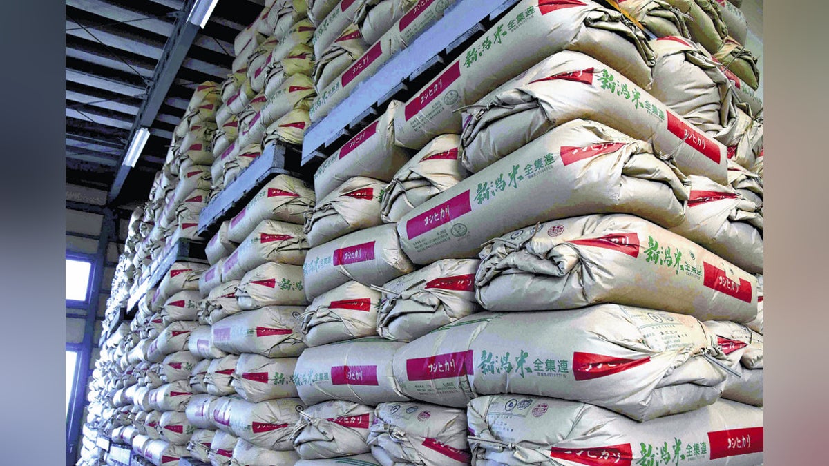 ＪＡと民間業者、コメ買い取りで価格競争か…新潟の農業生産法人「特需に近い状況」