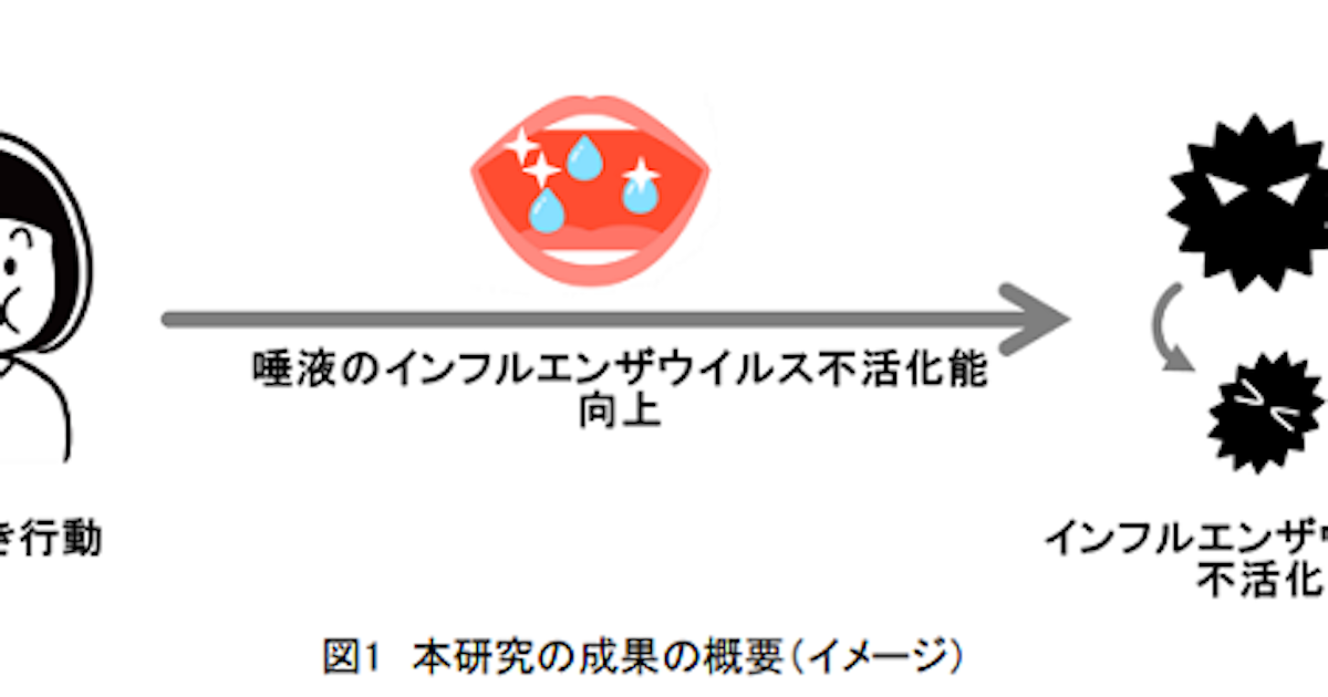 ライオン、歯みがき行動で唾液のインフルエンザウイルス不活化能が向上することを確認