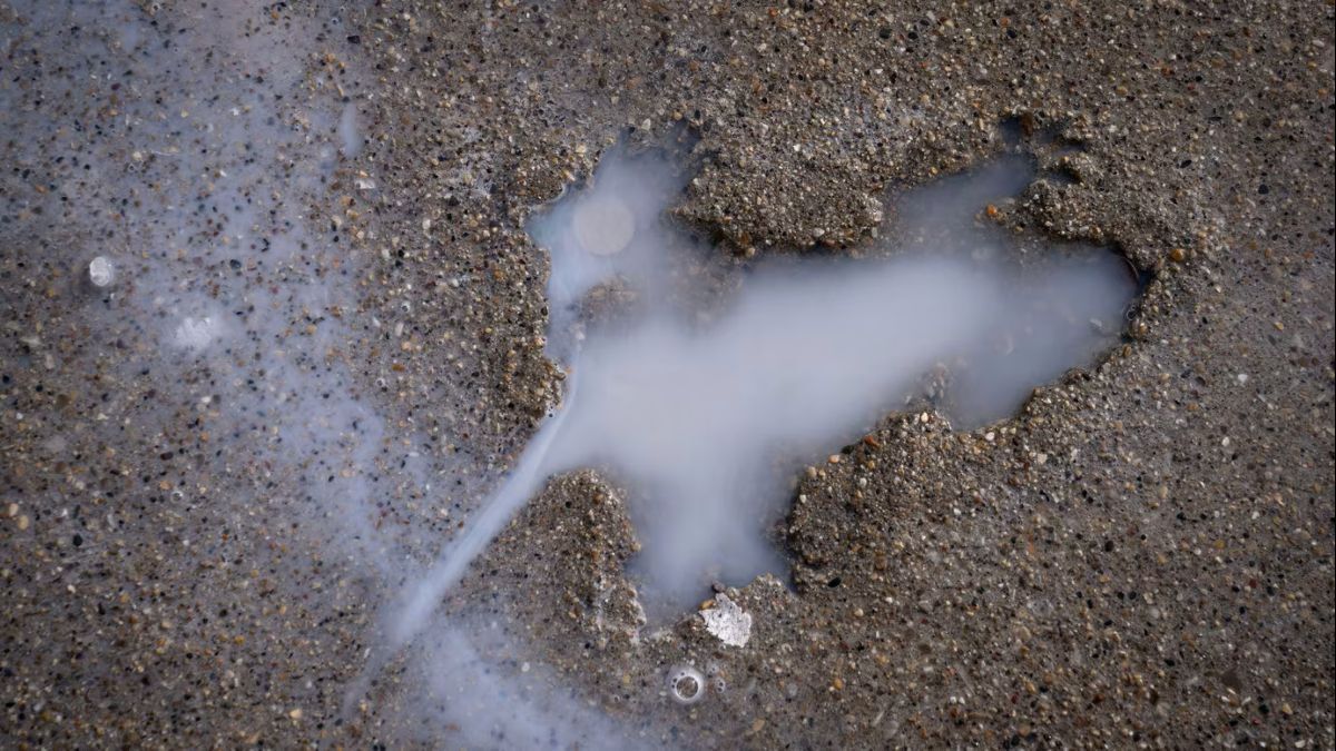 歩道に残った「ネズミ形」の謎、真犯人がついに判明 米シカゴの観光名所、専門家が調査