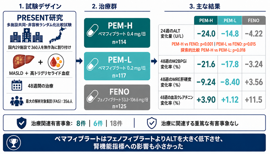 【横浜市立大学】代謝機能障害関連脂肪性肝疾患（MASLD）でペマフィブラートの肝障害指標改善を確認