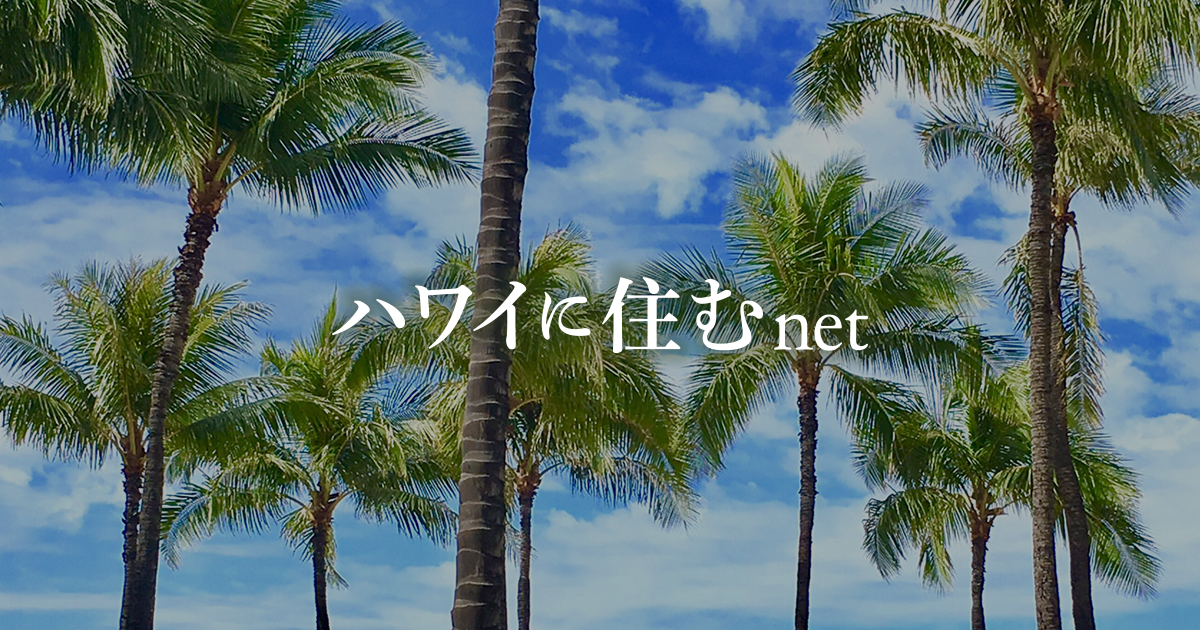 「東名古屋画像診断クリニック」人間ドック アメリカ在住日本人特別プラン 詳細・お問い合わせ・お申込みページ
