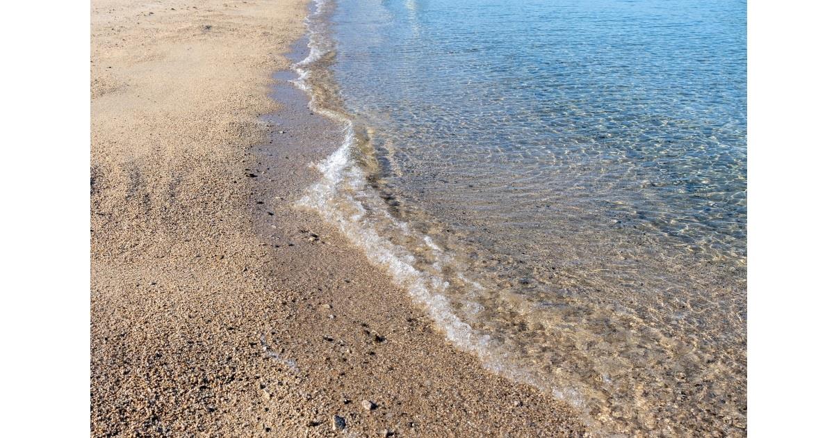 朝の海岸を散歩していたら……「なんとー!!」 SF作品に出てきそうな“レアもの”に大興奮 「こりゃテンションMax」「凄い〜!!」