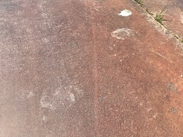 町の中心部でクマに追いかけられる 中学2年生の男子生徒が逃げ切りケガなし 現場近くには足あと（山形・河北町）