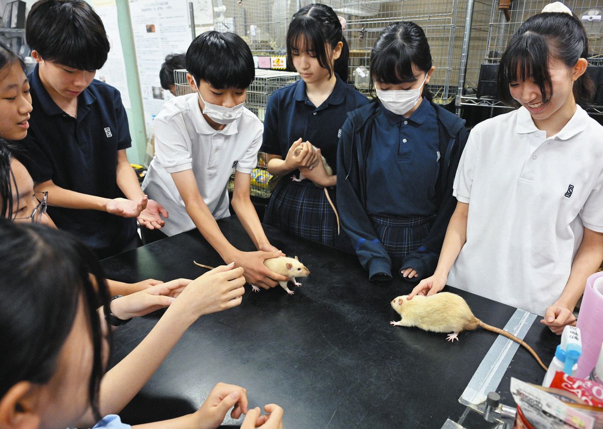 ここは動物園！？ 130種の生き物を中高生が理科室でお世話 「かわいい」だけじゃない自然科学部の取り組みとは