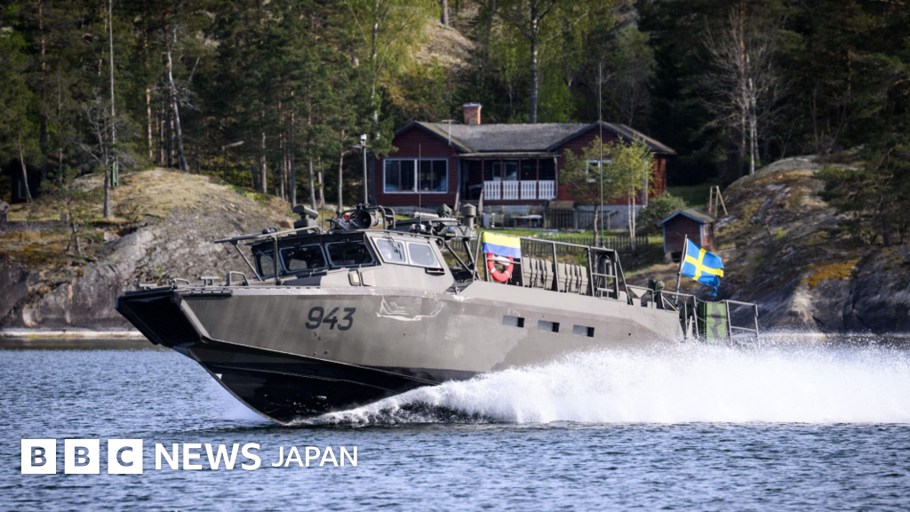 スウェーデン軍、海軍基地に近いロシア人所有の土地の収用を要請