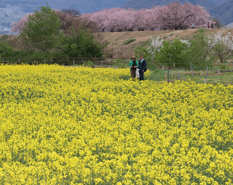 「住み続けたい街ランキング」全国版トップ10に長野県内の3町村ランクイン｜信濃毎日新聞デジタル 信州・長野県のニュースサイト