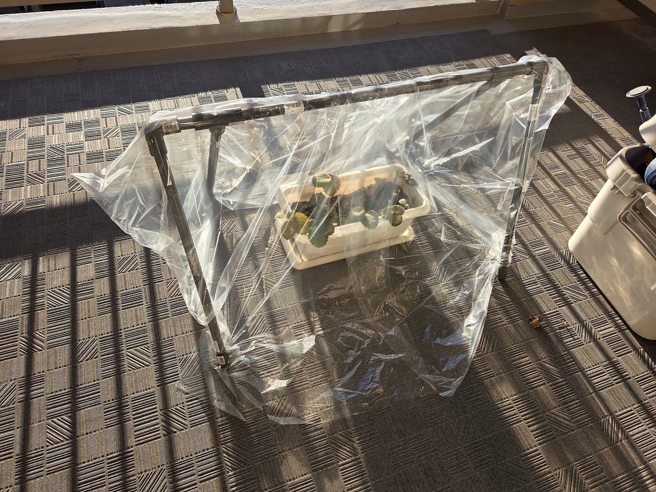 よかれと思ってDIY（2026.1.６ 朝エッセイ／石川）