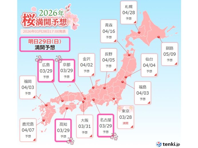 最新の桜満開予想2026 明日29日(日)も桜満開の便りがありそう