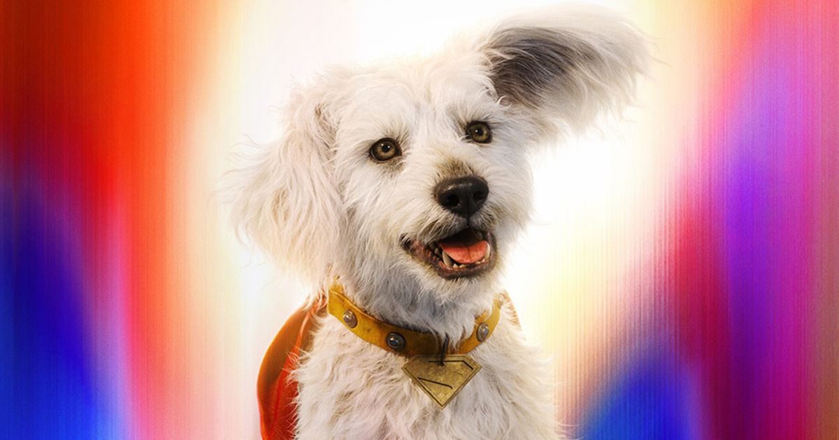 『スーパーマン』犬のクリプト人気がすごい！犬の里親希望が513％増｜シネマトゥデイ