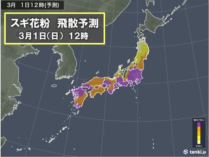 3月1日も九州～関東でスギ花粉が大量飛散 3月中旬にかけて広範囲でピーク