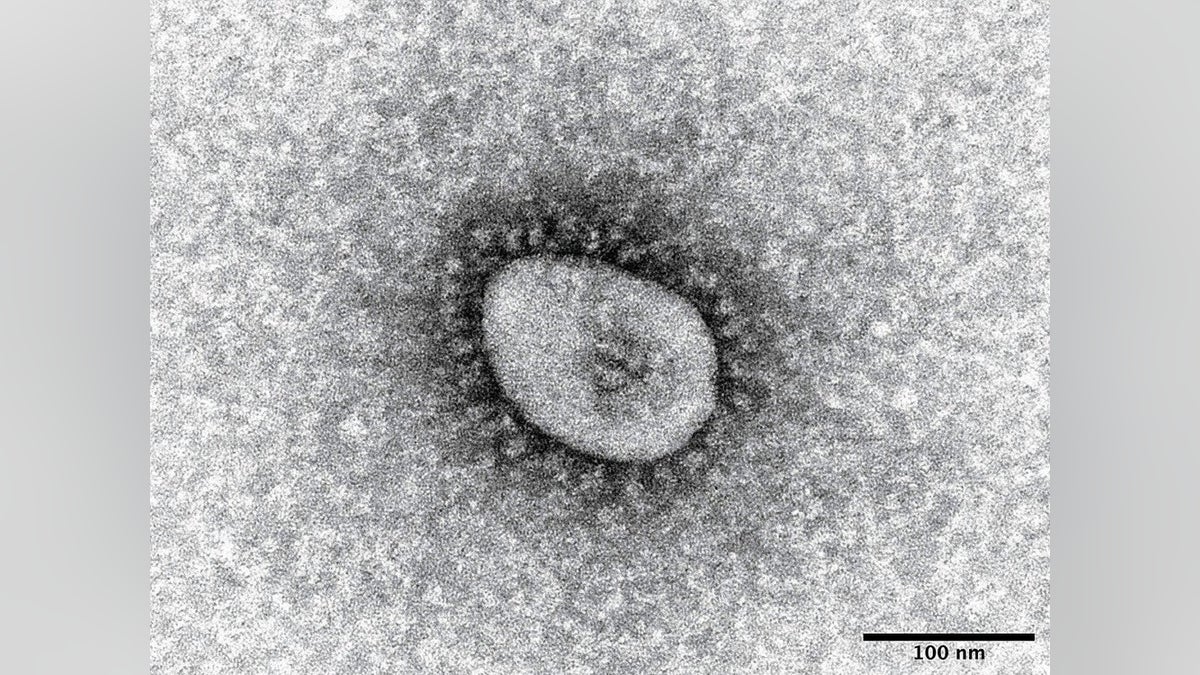 コロナ「５類」移行２年、後遺症に苦しむ子どもたち…今も登校困難で孤独感・寝たきりも
