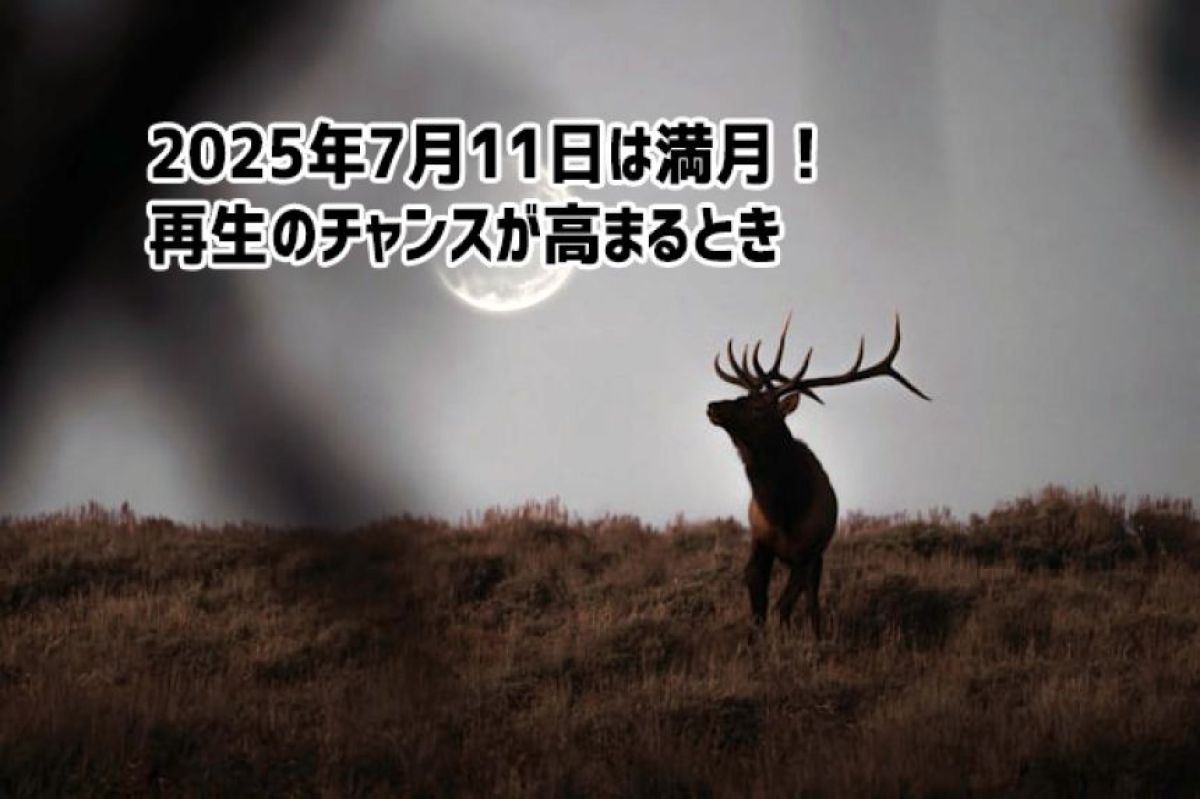 2025年7月11日は満月！月が再生のチャンスを運んでくる