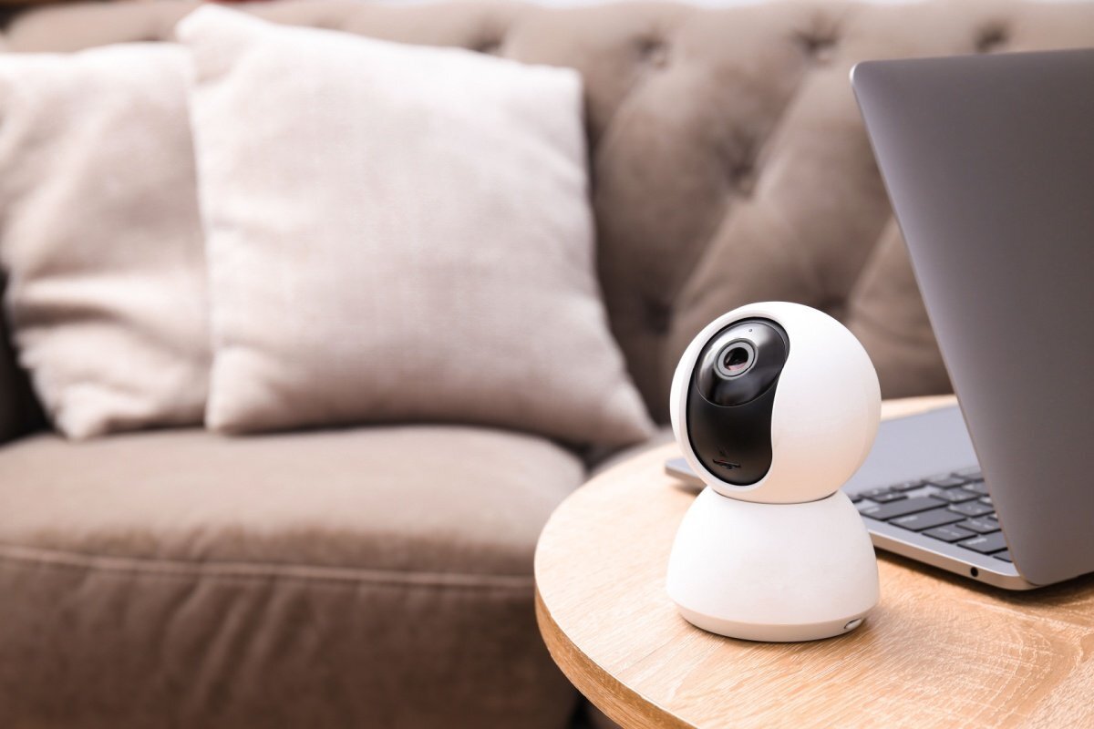 飼い主が見守りカメラで猫ちゃんを確認したら…「アニメのようなまさかの光景」に思わず笑ってしまう（LIMO）