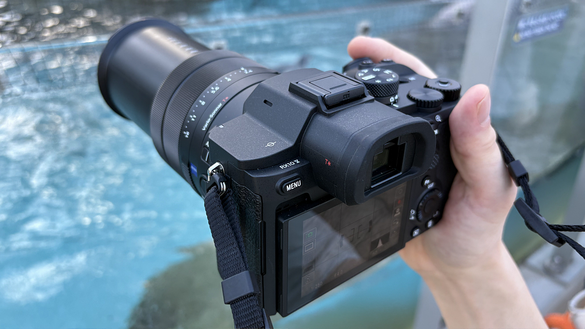 25倍ズームで遠くまで大きく写せるソニー製デジカメ「RX10 V」を使って動物や食べ物を撮影してみた作例はこんな感じ、スマホのAIズームとは別格の出来栄え