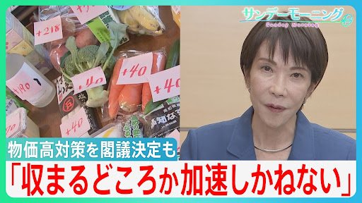 「物価高は収まるどころか加速しかねない」コロナ後最大21.3兆円の「総合経済対策」を閣議決定も更なる円安＆物価高の懸念…【サンデーモーニング】（TBS NEWS DIG Powered by JNN）