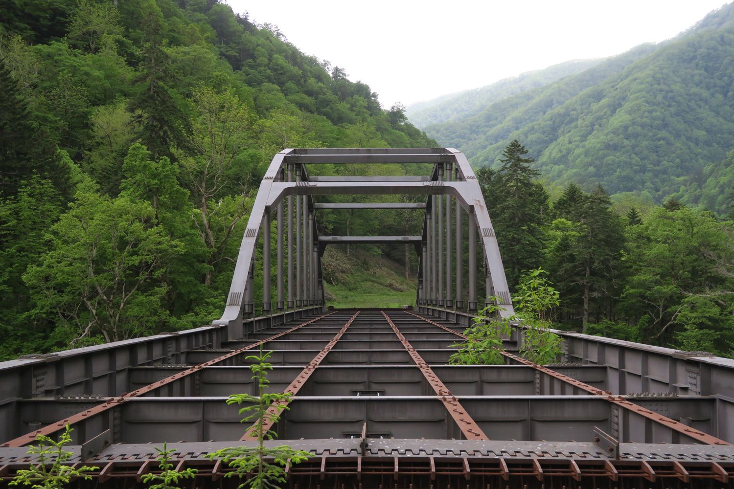 《壮大で無謀な道路計画》540億円を投じて79kmを建設、それでも着工20年で計画は破綻…取り残された「未成道」の規模がすごすぎた（文春オンライン）