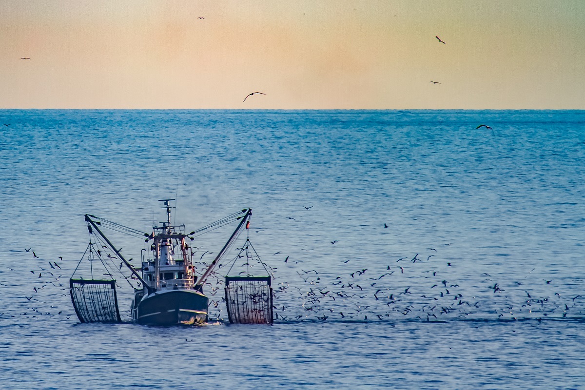 海底の泥、気候変動との闘いの「隠れた英雄」 その実態を探る