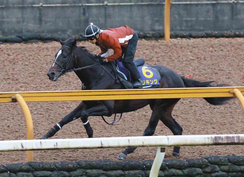 【消せる馬・菊花賞】エリキング、ゲルチュタールら7頭は全条件をクリア 苦戦気味の前走新潟組エネルジコはどこまで？
