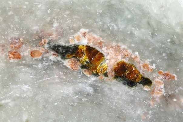 新鉱物・アマテラス石の発見
