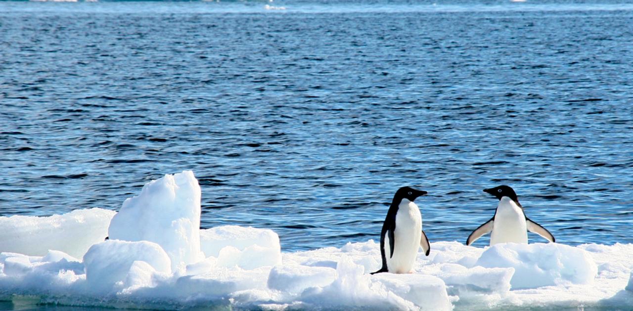 ｢地球を冷やす6つの大作戦｣効果とリスク