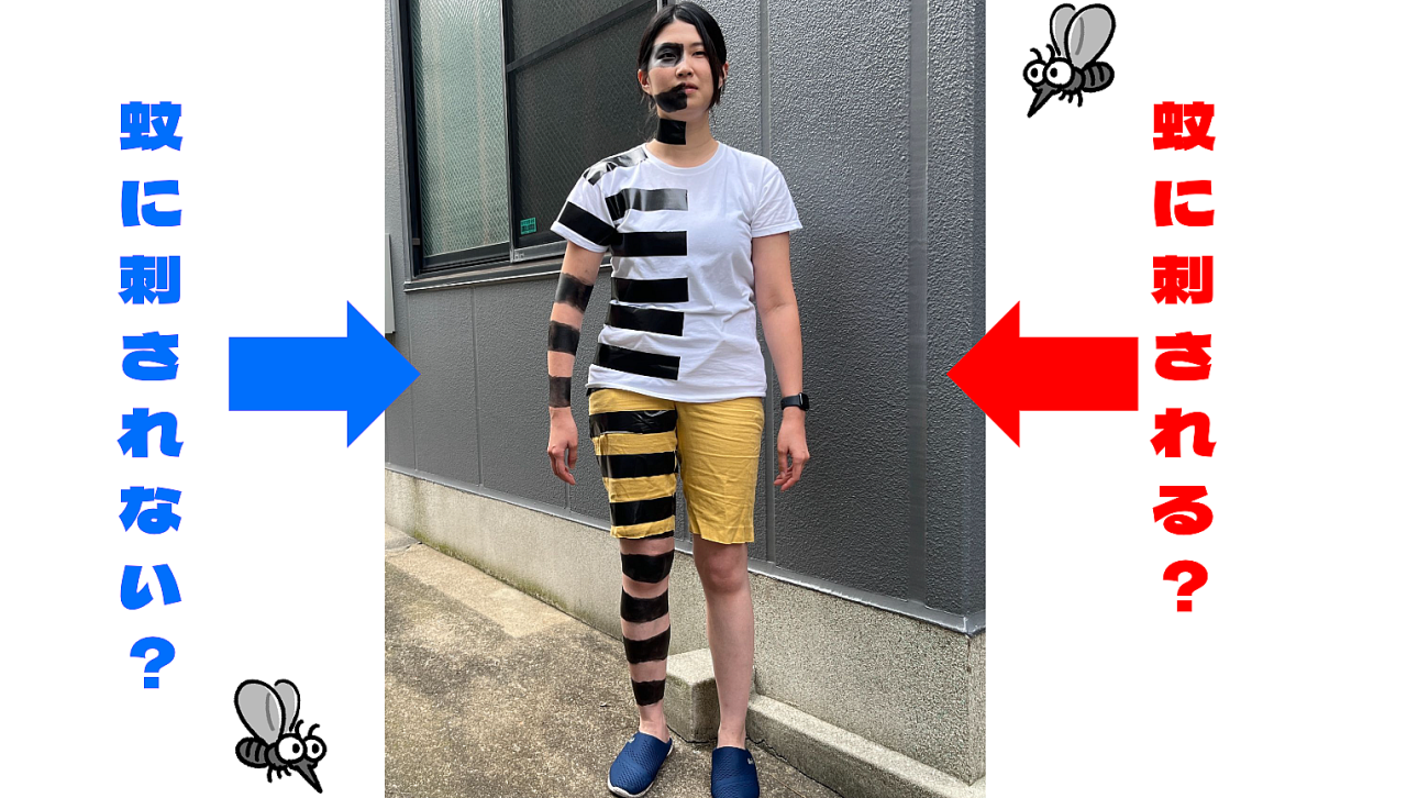 「縞模様になると蚊に刺されにくくなる」は人間にも有効なのか (1