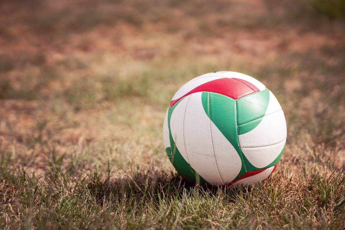 従業員ゼロで年商2億円超──庭遊びゲームを副業で育て、売却した2人の物語