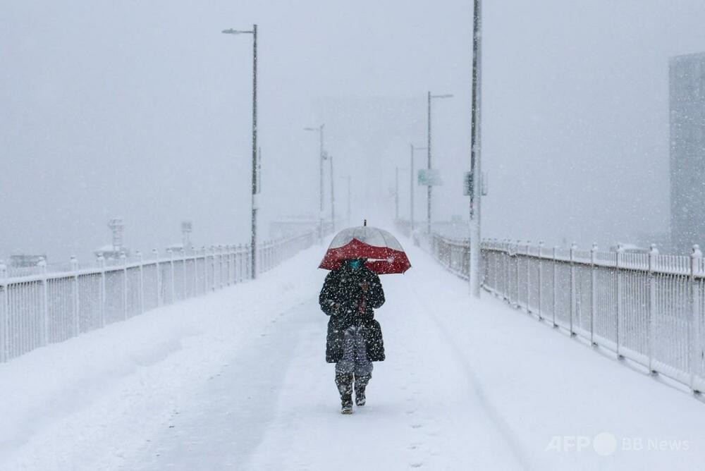ニューヨークにひとときの静寂 10年以上ぶりに50センチの積雪