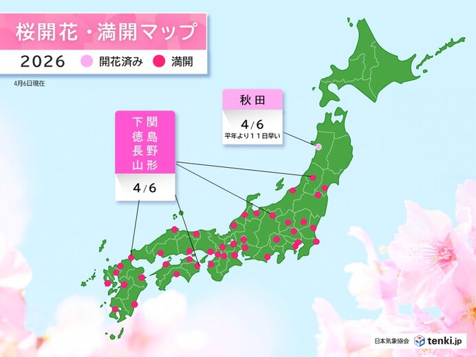 秋田で桜が開花 下関・徳島・長野・山形で桜が満開