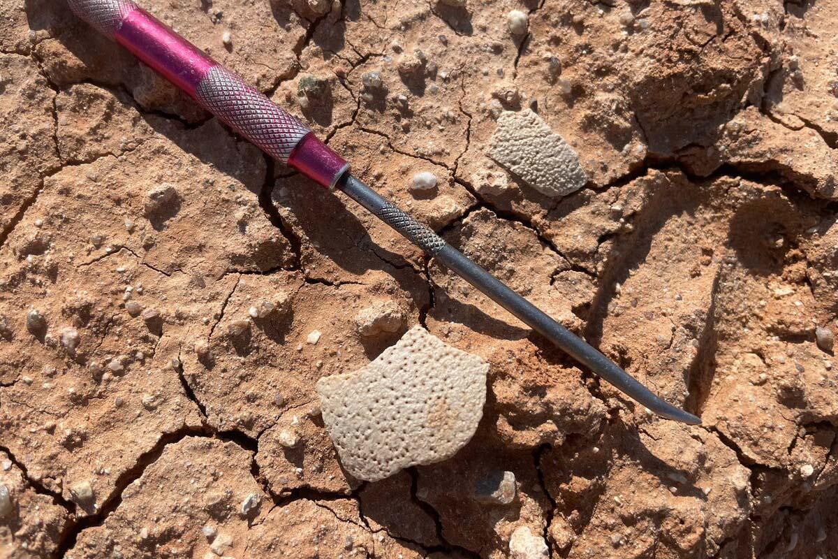 恐竜の卵の殻を直接測定、驚くほど正確な恐竜の新たな年代測定法、今後の可能性に期待大（ナショナル ジオグラフィック日本版）