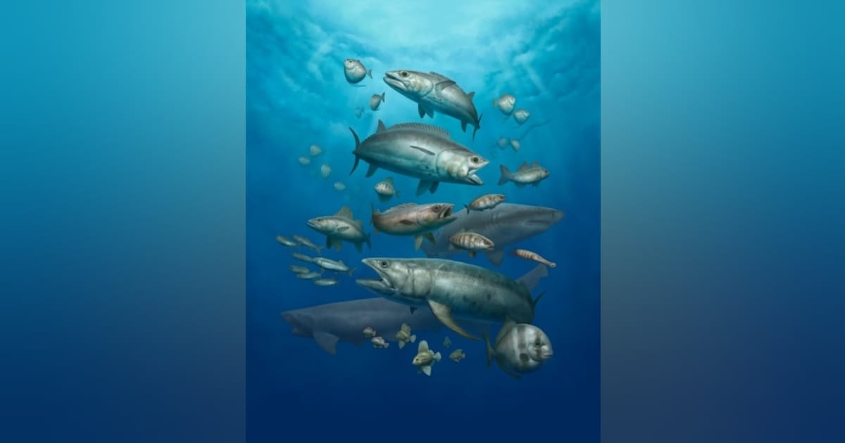まるで「化石の水族館」、6220万年前の魚の化石を大量に発見