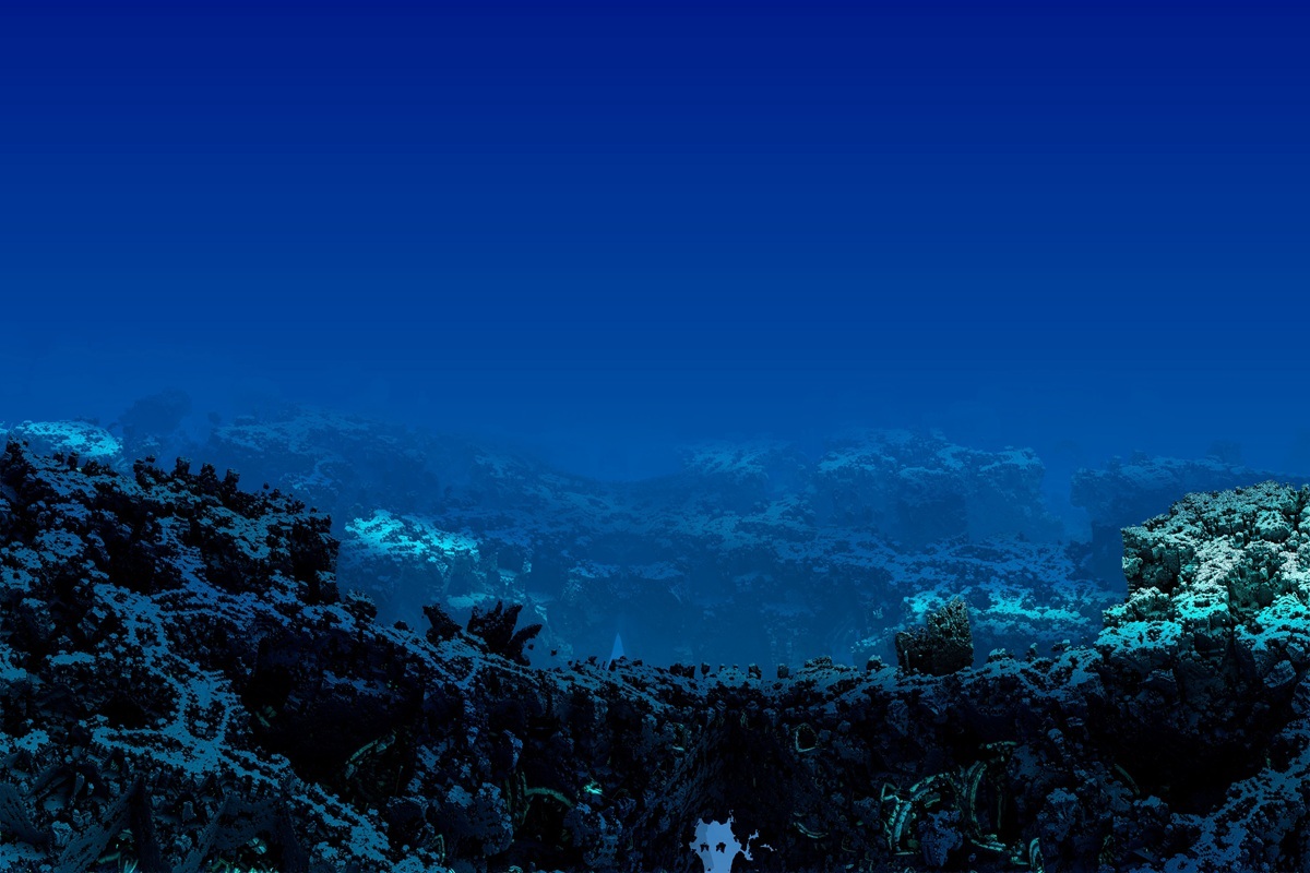 北極海で見つかった「400年近く生きる生物」がSNSで拡散される...その生物の正体は？本当に400歳？（ニューズウィーク日本版）